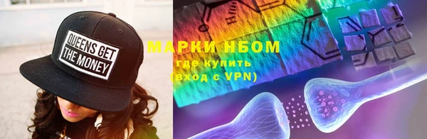 стаф Белокуриха