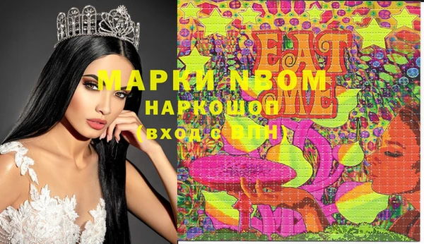стаф Белокуриха