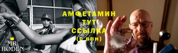 стаф Белокуриха