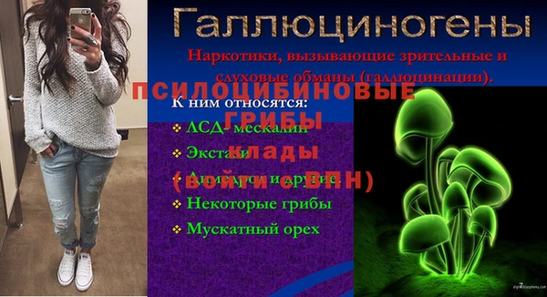 гидропоника Алексеевка
