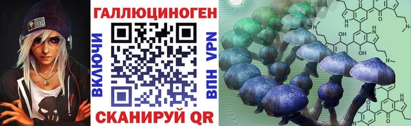где найти Злынка ОМГ ОМГ маркетплейс Псилоцибиновые грибы Psilocybe